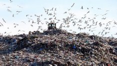 Община Варна плащала 3 пъти по-скъпо за предварително третиране на отпадъците