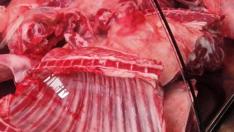 БАБХ започва засилени проверки за Великден и Гергьовден