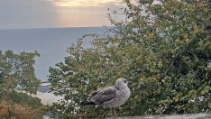 Какво ще бъде времето в събота?