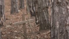 Гробище за домашни любимци стряска посетителите на Природен парк "Златни пясъци"