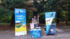 Варна и още шест града в страната отбелязаха Европейските дни на птиците