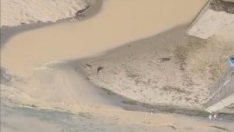 РИОСВ–Варна разкри причината за замърсяването на морето на Офицерския плаж