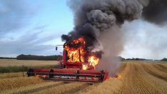 Гори житницата на България! Над 10 пожара в Добричко само за седмица