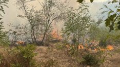 Голям горски пожар гори в района на селата Бенковски и Здравец 