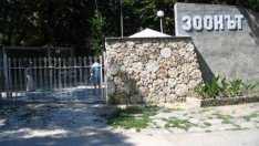 18 май - Денят на българските зоопаркове