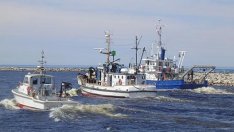 Задържаха 3 наши кораба в Румъния за бракониерство на акули