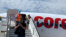 Летният сезон пред провал. Хотелиери зоват президента за "министър на място"