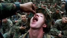 Змии, скорпиони и крокодили …в менюто на пехотинците