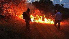 Пожарите край Варна лумнаха отново! Пак гори във "Владиславово"