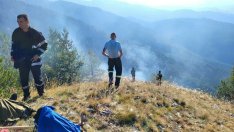 Пожар лумна в Национален парк "Пирин"