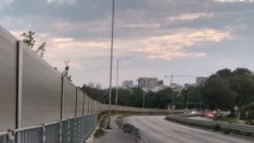 Решено: Паната по пътя за Златните остават