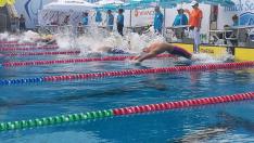 Над 300 плувци атакуват медали на Black Sea cup във Варна