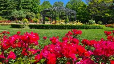 Дъждовете отменят дългоочаквано събитие в Екопарк Варна