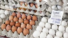 Яйцата няма да поскъпват за Великден