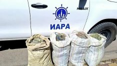 Извадиха 600 метра бракониерски мрежи от Черно море