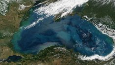 Пуснаха ръководство за морска екологична грамотност за Черно море