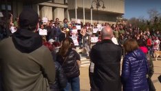 Стотици протестираха във Варна срещу насилието над животни