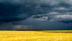 Земеделци: Спешно България да започне опити с облаци за дъжд