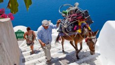 Магаретата на остров Санторини получиха защита 