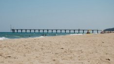 Трима министри проверят качеството на морската вода край Шкорпиловци