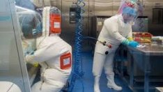 СЗО алармира: Два нови подварианта на Омикрон в Южна Африка