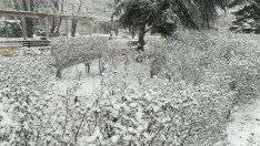 Зимата пак ни изненада: Десетки населени места останаха без ток