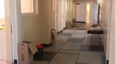 Ковид отделение във Видин като от хорър филм. Голи хора, тоалетни – кашони (ВИДЕО)