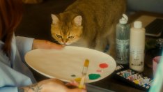 Виц на деня - 29 ноември