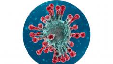 Разясняват ползите от ваксините сред ромите във Варна