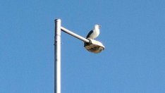 Слънчево време в последния делник на седмицата