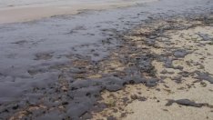Около 10 дни ще продължи проверката на корабите във Варненския залив за разлива на мазут