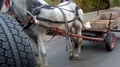 Задържаха трима с каруца, вътре намериха крадено от частен имот