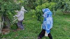 Протест на пчеларите блокира пътя Варна--Добрич днес