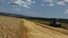 Резултати от жътвата: Добивите и качеството са лоши