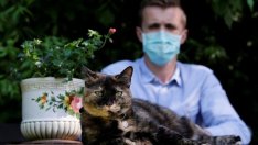 Мутация на COVID мори котките в Кипър