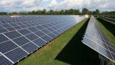 Инвестициите във фотоволтаични системи в България се увеличават 