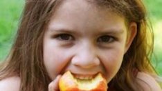 От 15 август започва приемът по схемата „Училищен плод”