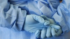 Студенти най-често стават донори на... сперматозоиди