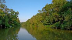 Скаути се включиха в почистването на реките