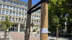 „Холдинг Варна“ изпълни предварително компенсаторната си програмата за засаждане на дървета (СНИМКИ)