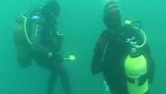 Северното Черноморие - гробище на потънали кораби, топове, пушки, саби...