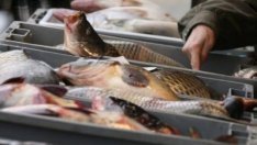 Какви са цените на Рибната борса във Варна преди Никулден