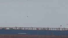 България пита Турция за навлизането на кораб KAIROS в български води