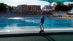 39 клуба спорят за награден фонд от 15 800 лв. в Black Sea Cup