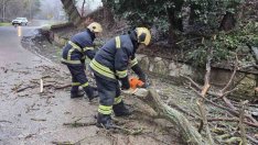 Внимание: Има множество паднали клони по пътя Варна-Добрич