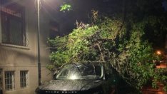 Kлон премаза луксозен джип в центъра на Варна