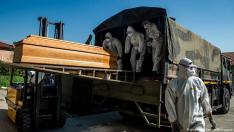 Нов черен COVID-рекорд: Светът отчете най-високата смъртност от началото на пандемията