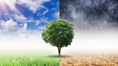 Апокалиптични промени на Земята през идните 20 г. Какво ни предстои?