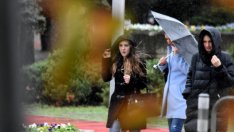 Паднали дървета, стълбове и щети във Варна заради силния вятър