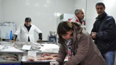 Цените на рибата хвърчат въпреки силния сезон